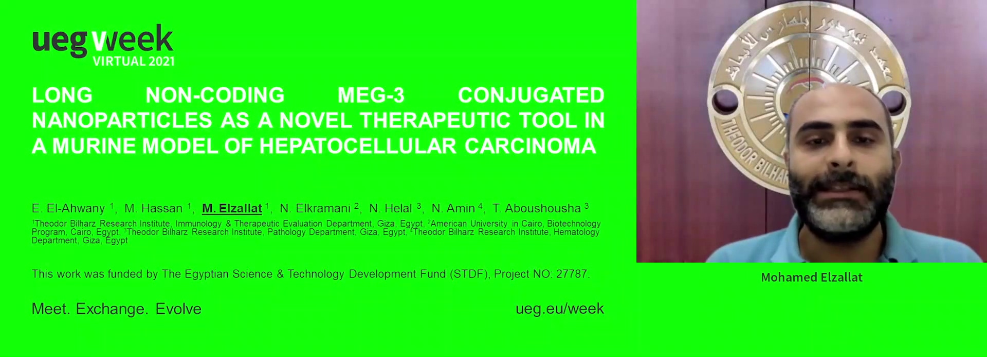 LONG NON-CODING MEG-3 CONJUGATED NANOPARTICLES AS A NOVEL THERAPEUTIC TOOL IN A MURINE MODEL OF HEPATOCELLULAR CARCINOMA