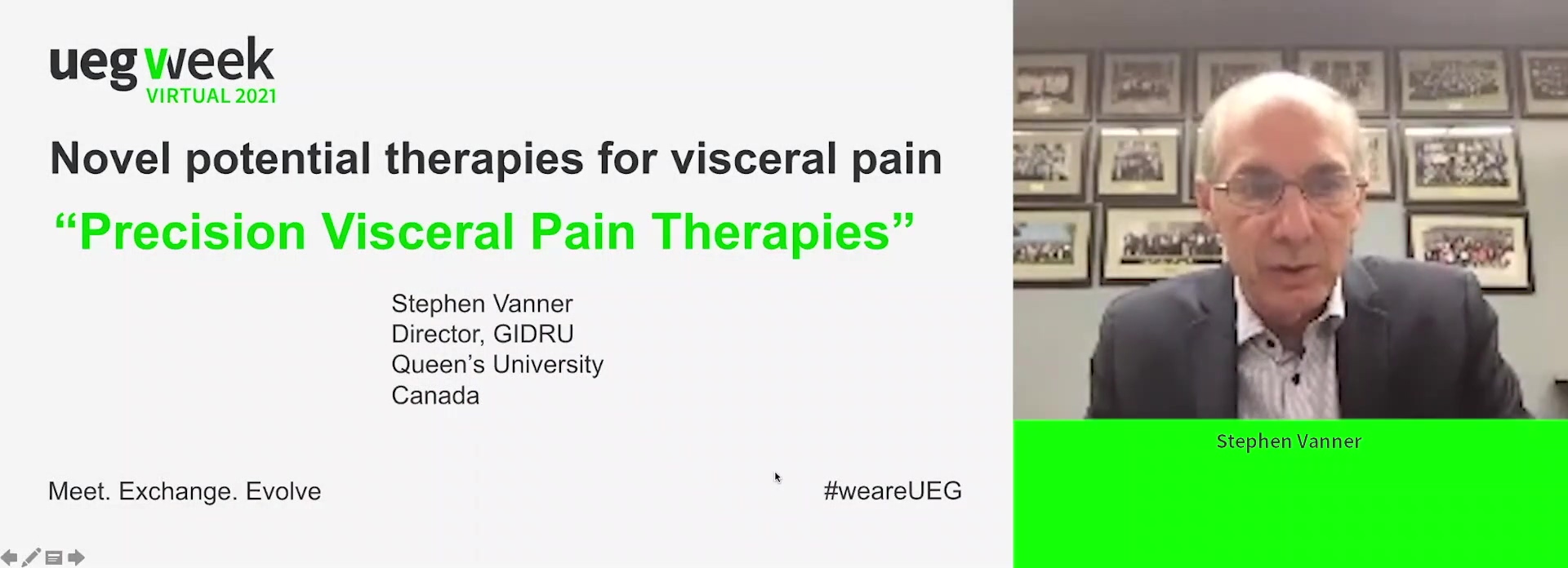 Novel potential therapies for visceral pain